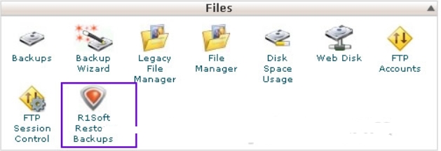 cPanel面板R1soft恢复数据功能教程