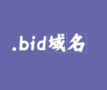 .bid域名是什么意思？.bid域名可以注册吗？